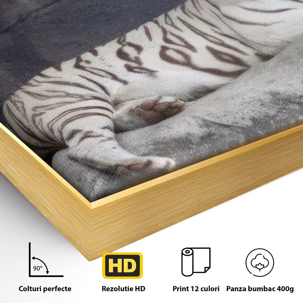 Detaliu al suprafetei: tablou canvas cu tigru alb pe stanca, in rama de aluminiu auriu